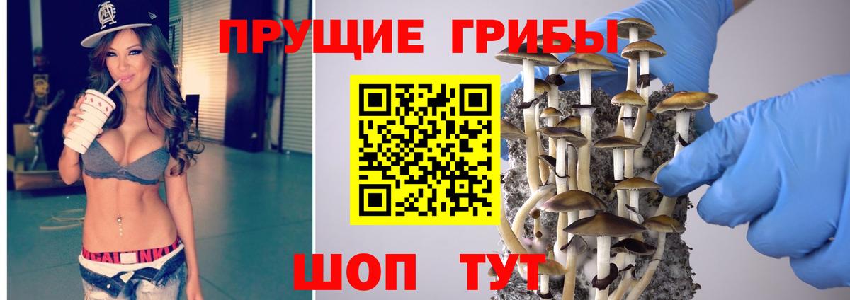 наркота  Псилоцибиновые грибы ЛСД  Вход с VPN  Десногорск 